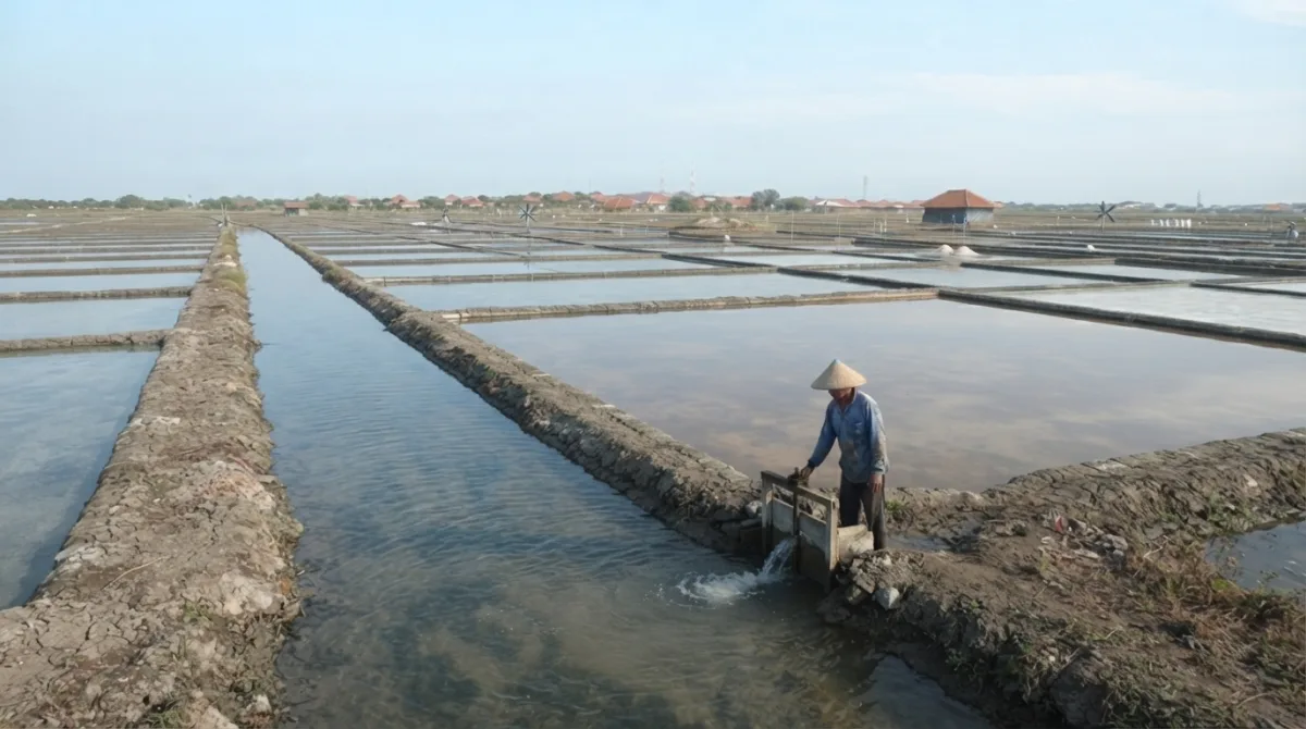 Proses Pembuatan Garam