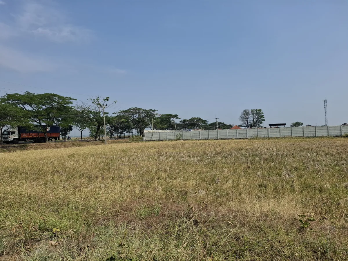 Dokumentasi Petani Padi