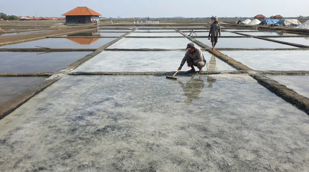 Proses Kristalisasi Tambak