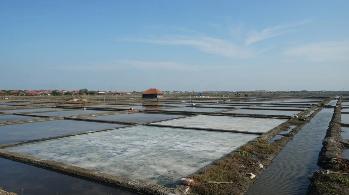 Dokumentasi Petani Garam