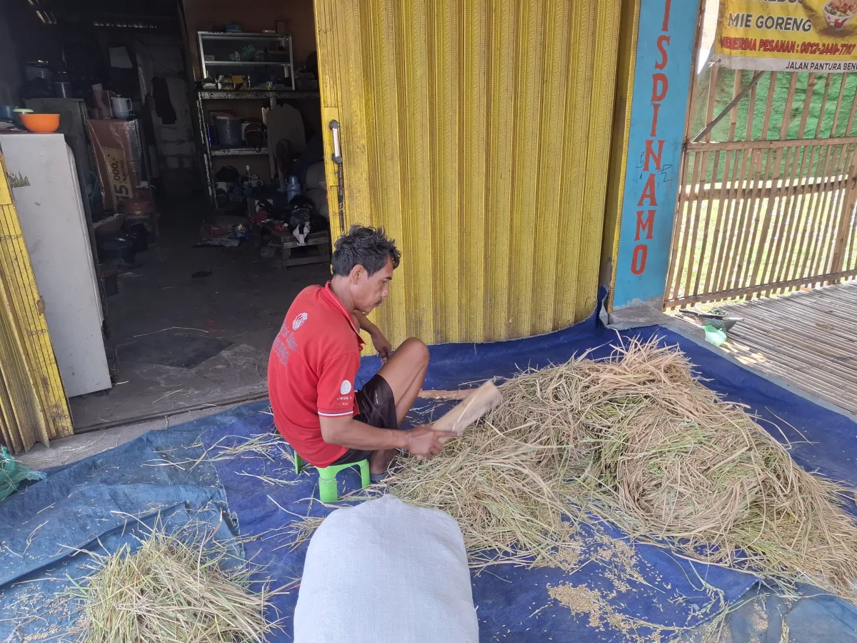 Dokumentasi Petani Padi